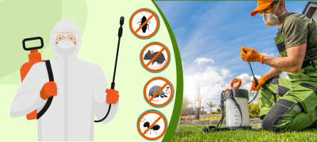 Emergency Pest Control Ascot Vale